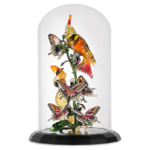 Idyllia Birds and Butterflies Bell Jar - Image 3