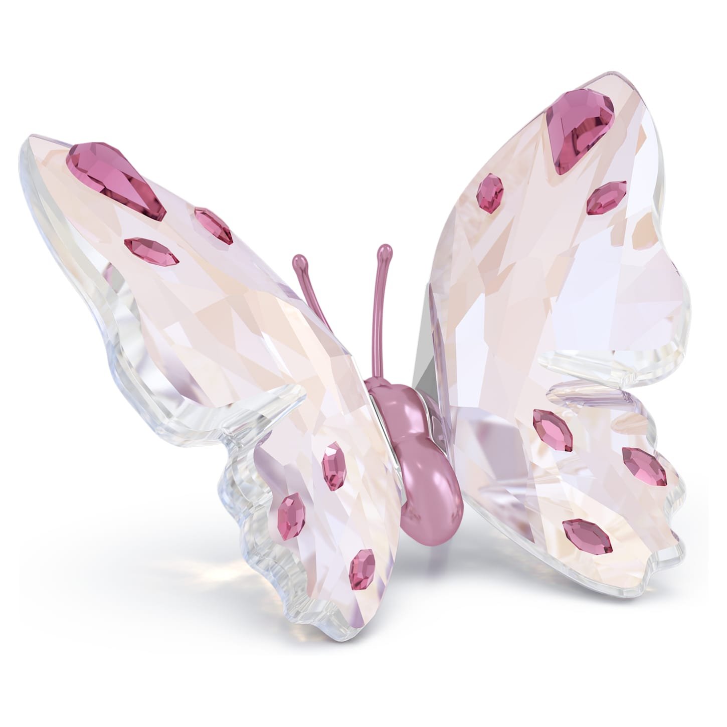 idyllia-butterfly-small-swarovski-5691959 Idyllia Butterfly Small - Image 1