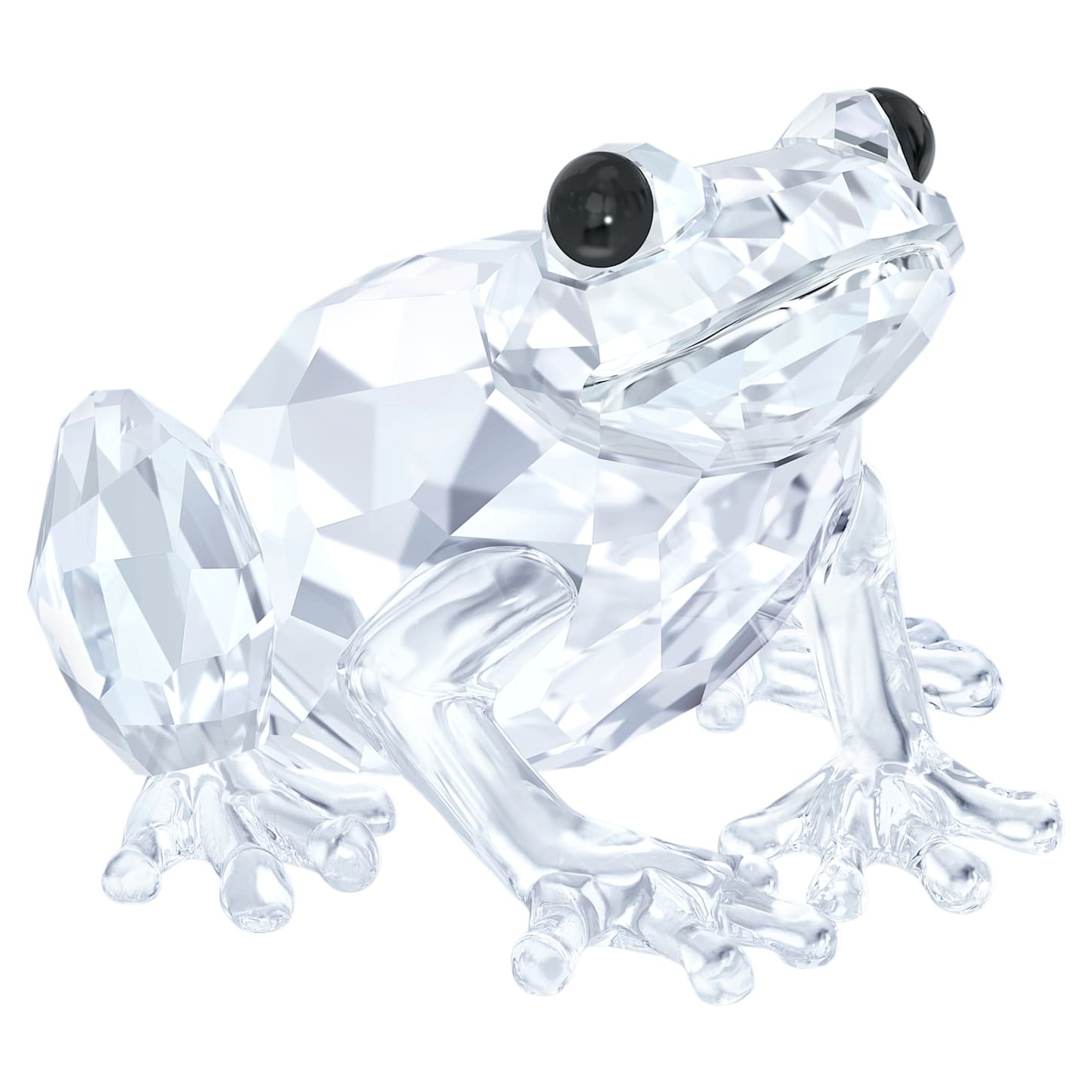 Peaceful Countryside Frog