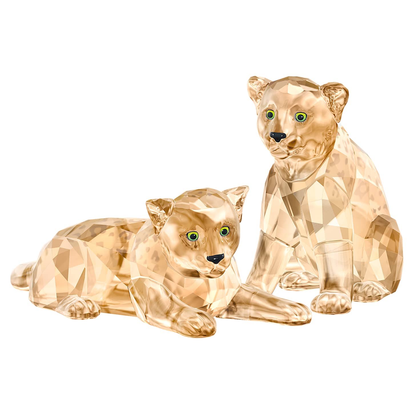 SCS Amur Leopard Cubs